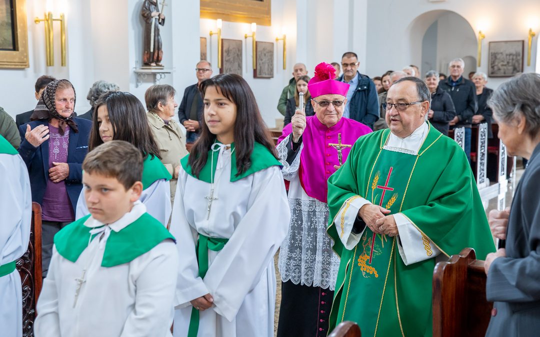 Pastoralni pohod župi Viduševac