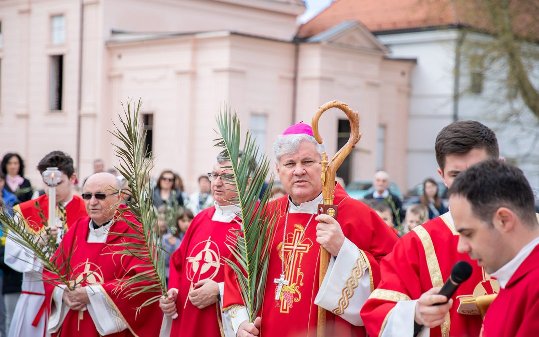 Cvjetnica u Sisku