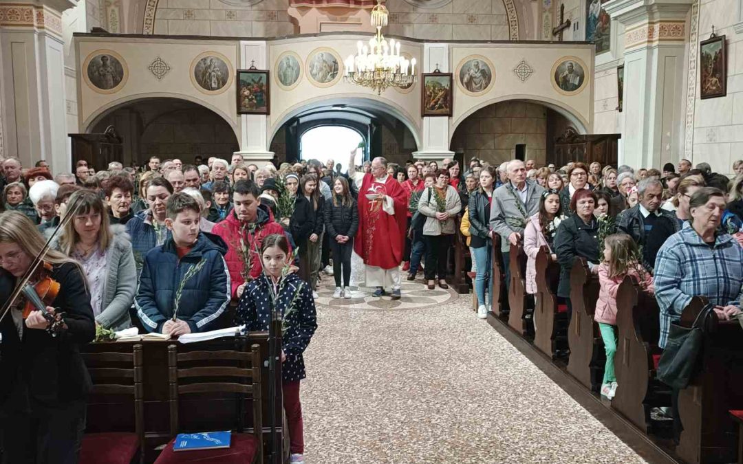 Cvjetnica u Križu