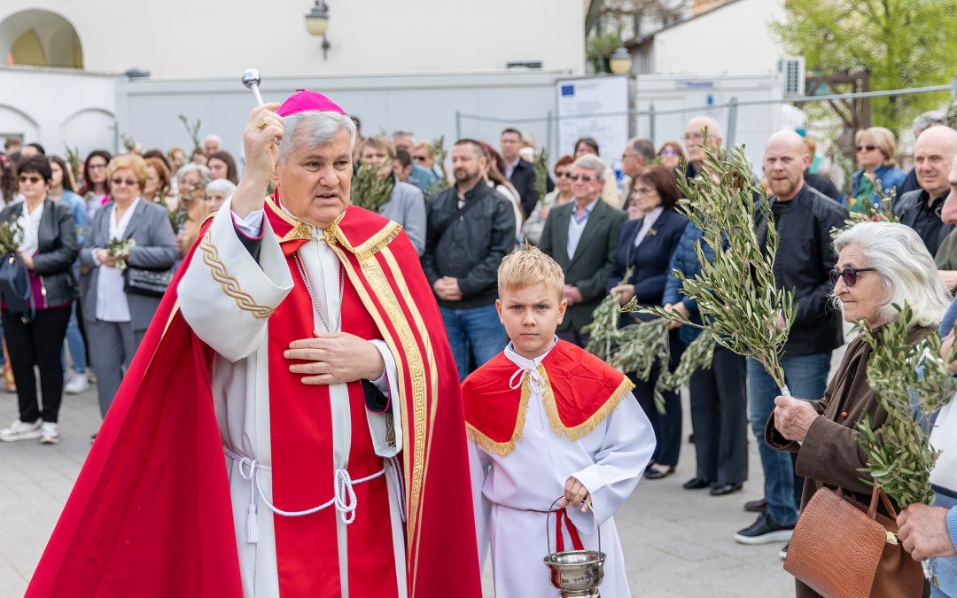 Cvjetnica u Sisku
