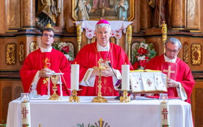 Dan Sisačko-moslavačke županije