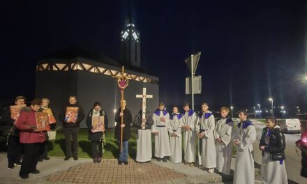 Križni put ulicama župe Preobraženja Gospodnjeg u Petrinji