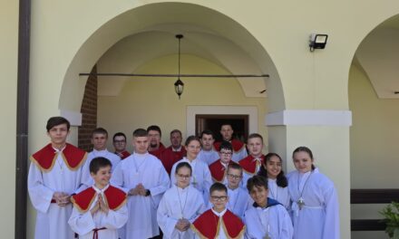 Mjesečni susret ministranata Sisačko-katedralnog dekanata